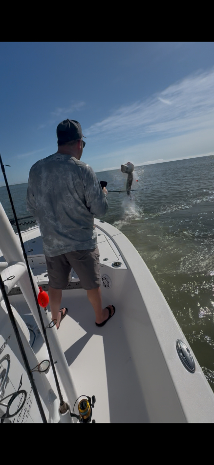 North Island Fishing Charters