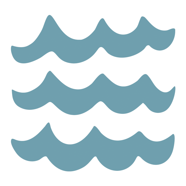 North Island Fishing Charters