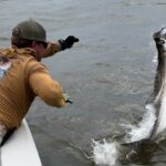 Tarpon Fishing Charters in Georgetown, South Carolina
