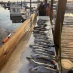 Sport Fishing Charters
