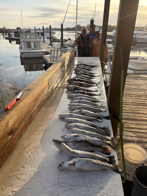 Sport Fishing Charters, Georgetown, SC